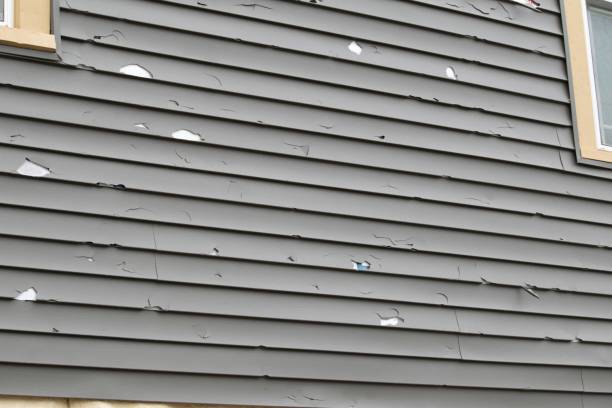 Best Vinyl Siding Installation  in Hooks, TX